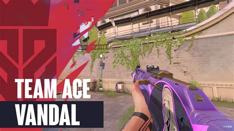valorant team ace|team ace vandal valorant.